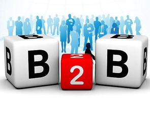 京東B2B電子銷售 為何能在阿里失手處成功？